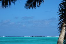 Liveaboard
